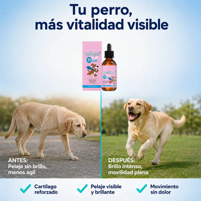TuPeludito® VitalPaws - Sofá
